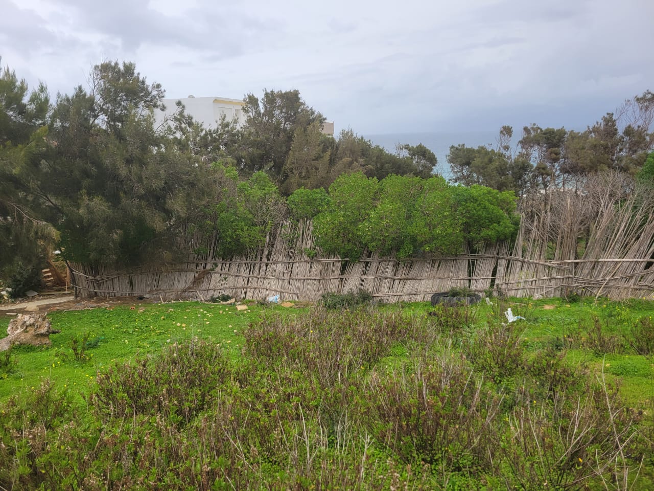 Ras Jebel Rafraf Terrain Terrain agricole Collectifs