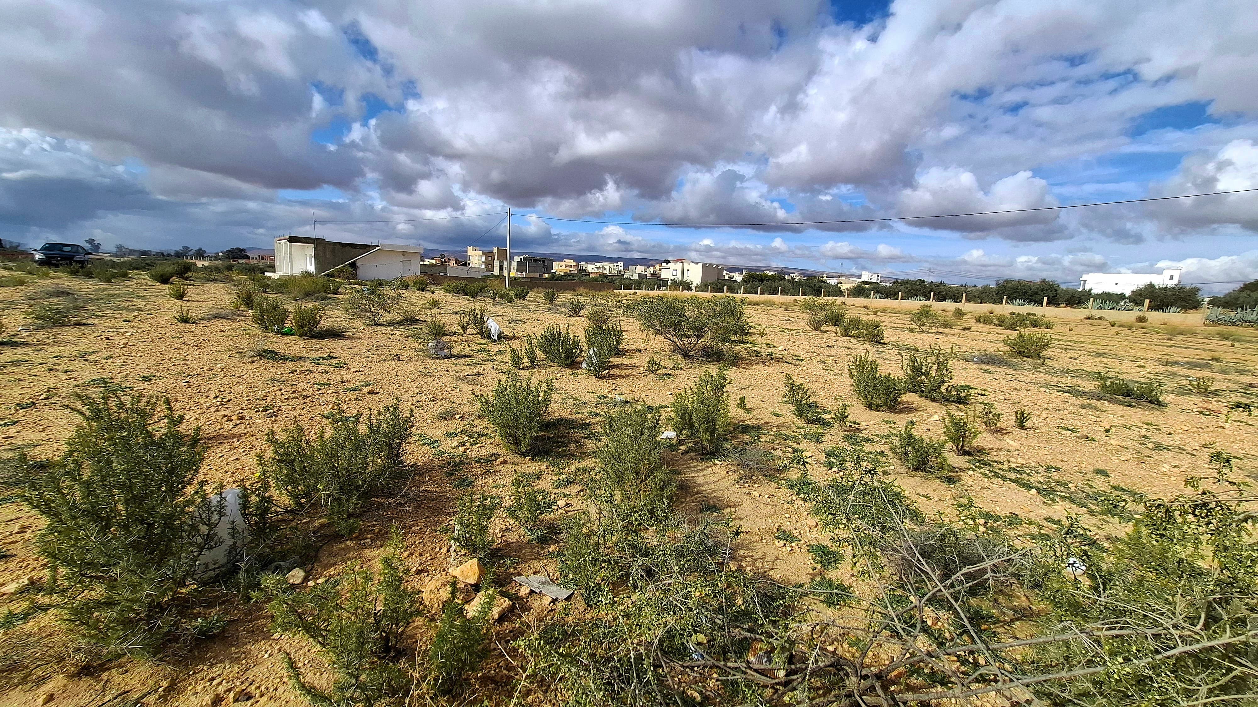 Kasserine Sud Bou Zguem Terrain Terrain nu Lot de terrain