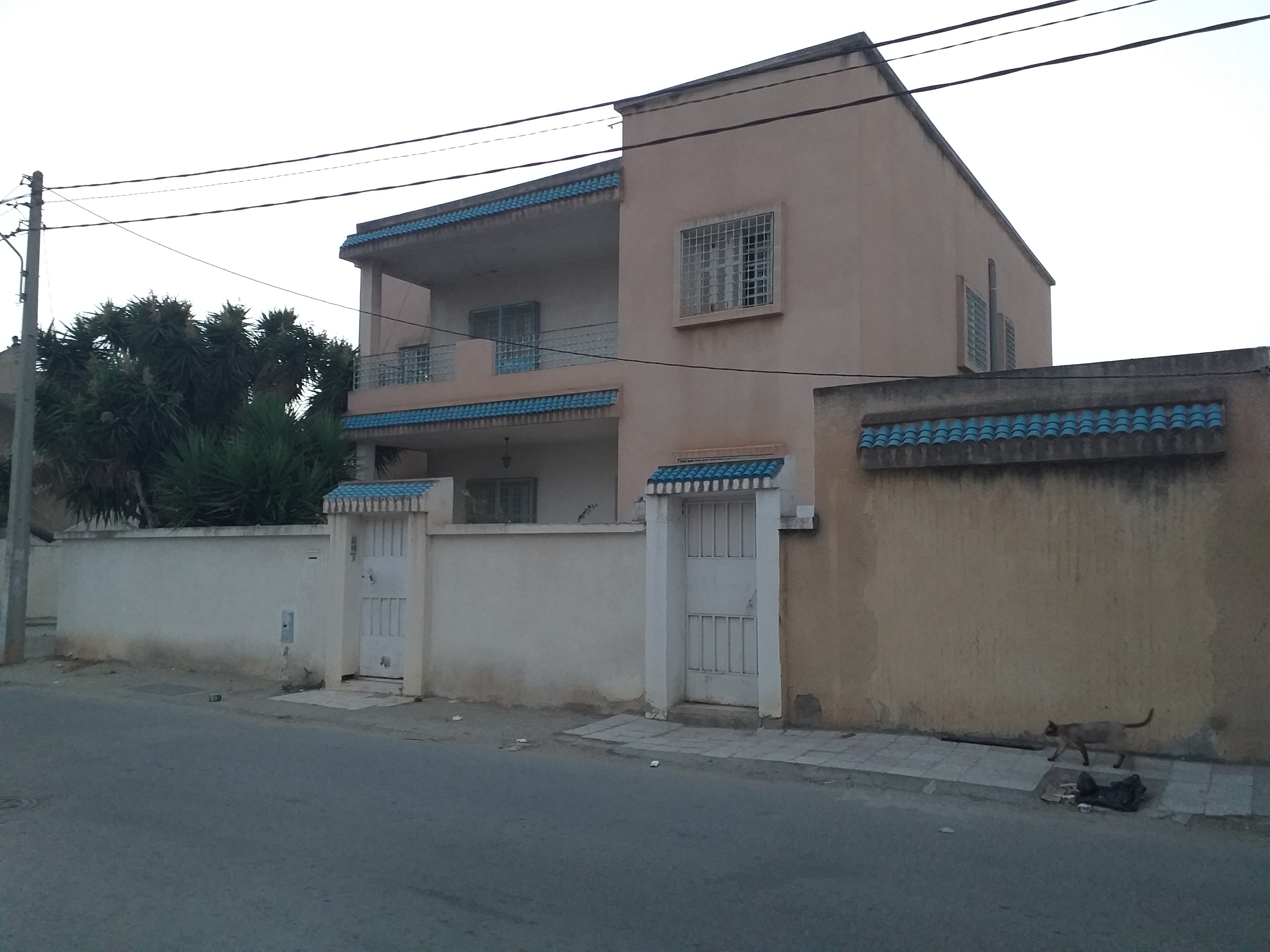 Mannouba La Mannouba Vente Maisons Villa rdc et 1iere tage et studio