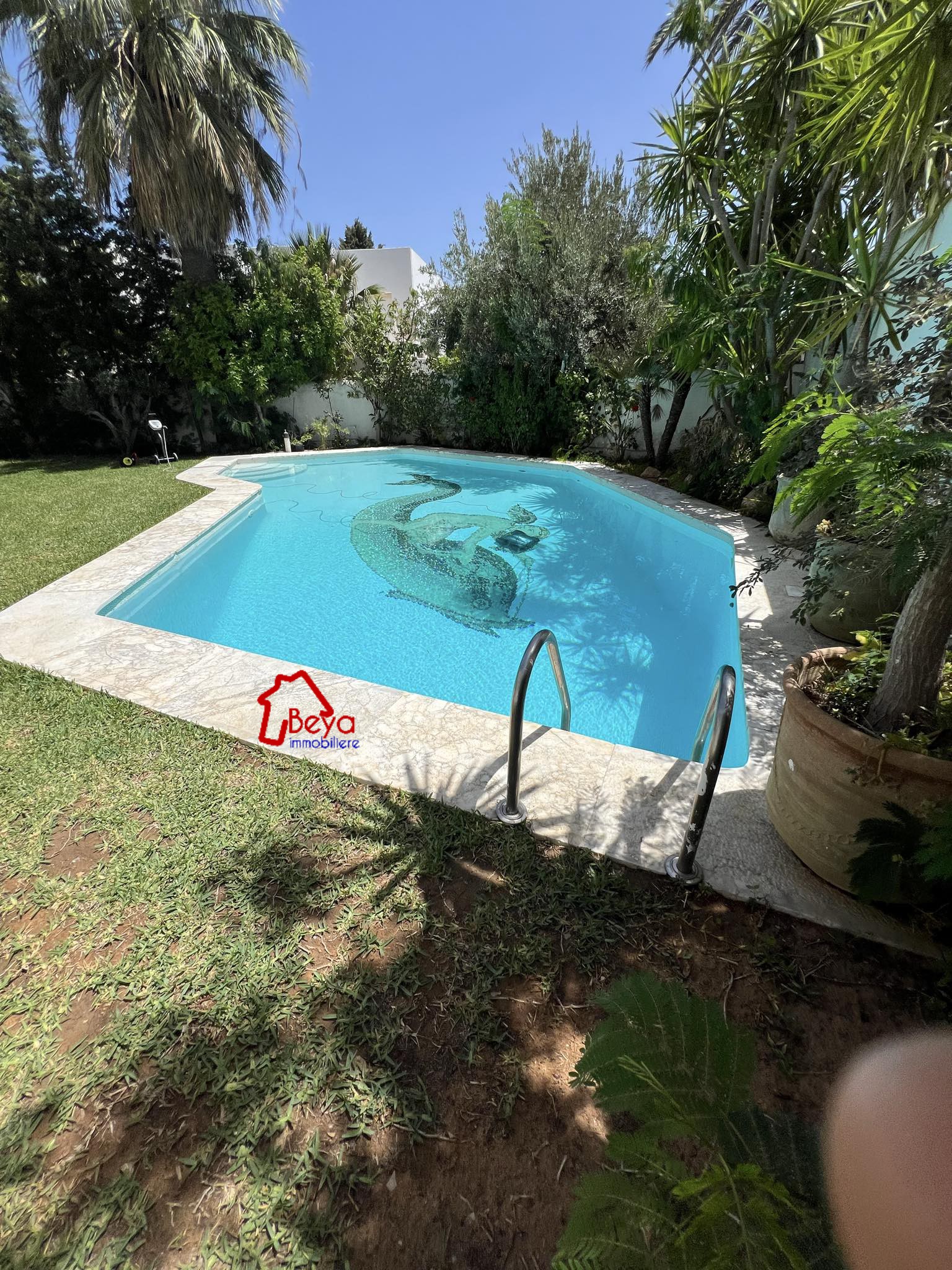Hammamet Hammamet Vente Maisons Villa avec duplex et piscine