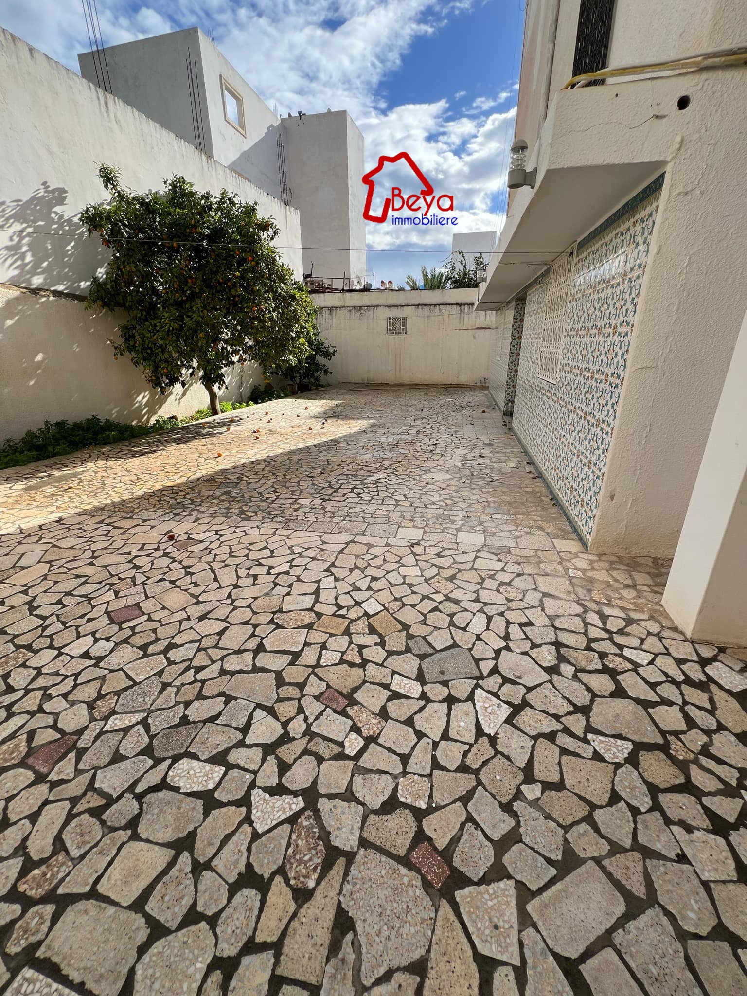 Hammamet Hammamet Vente Maisons Villa varia vvn088