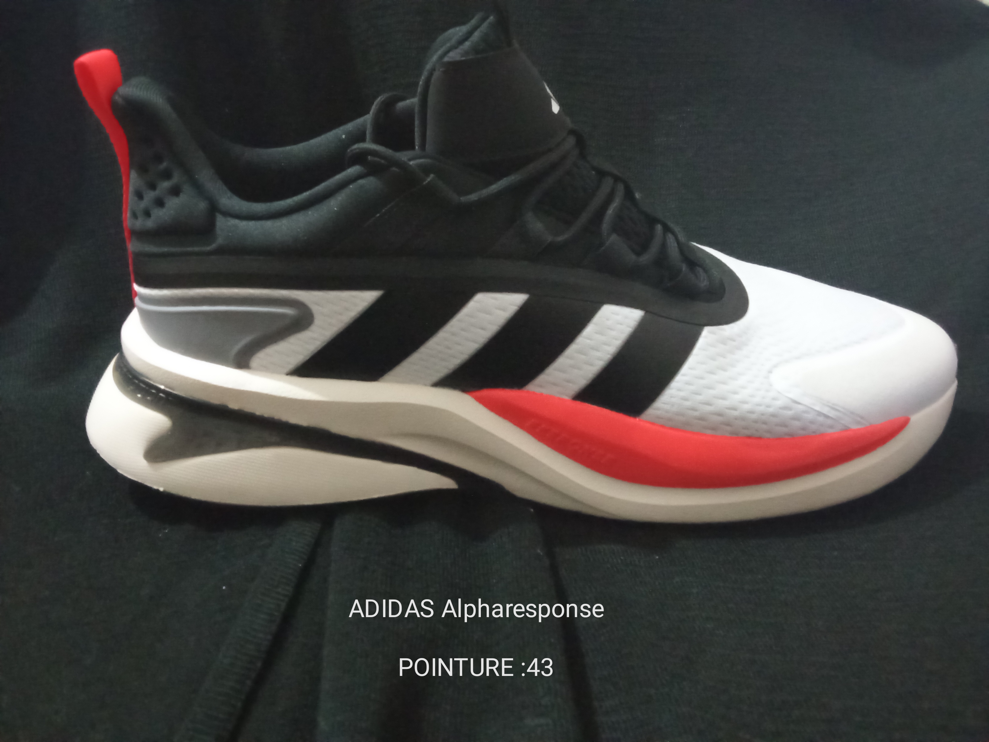 Le Bardo Le Bardo Hommes Autre Baskets homme