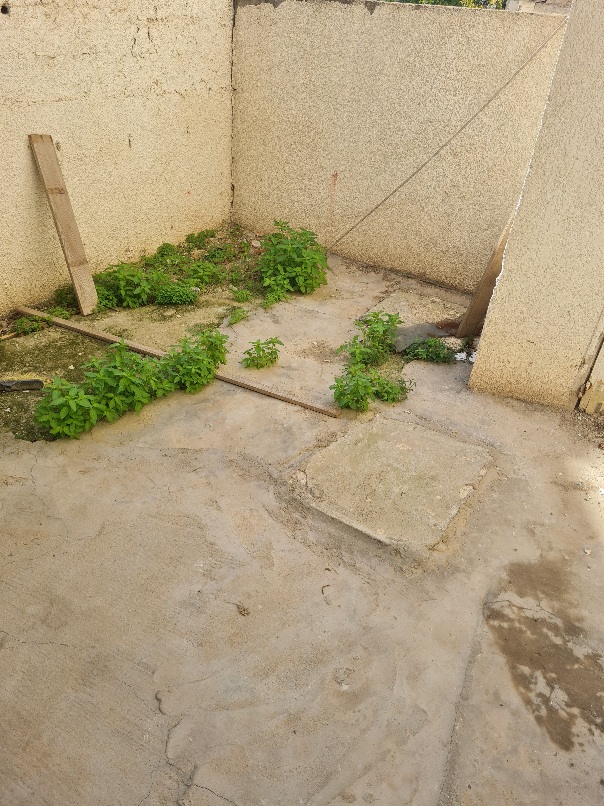 El Menzah El Manar 1 Location Appart. 1 pice Studio s0 a el manar 1 wb4002