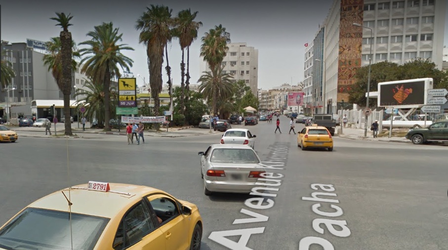 Cite El Khadra Kheireddine Pacha Vente Surfaces Terrain sur avenue principale