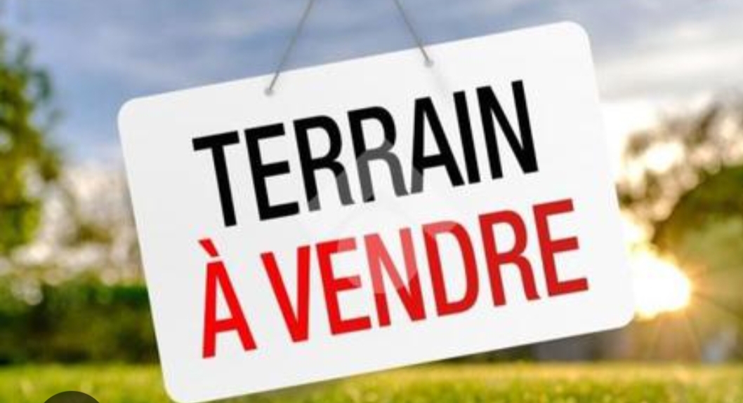 Bou Mhel El Bassatine Cite Bou Mhel Terrain Terrain nu Terrain 460m2 boumhel