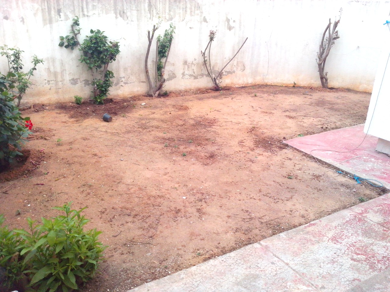 La Soukra Cite El Behi Ladghem Vente Appart. 3 pices S2 au rdc avec jardin privatif