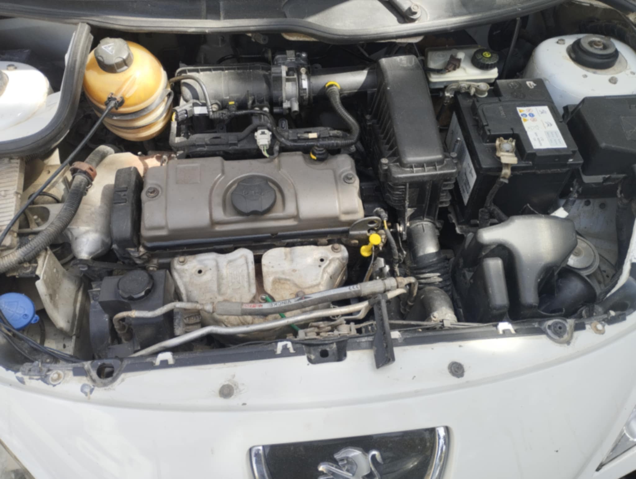 La Soukra Borj Louzir Peugeot 206+ 206 plus  zro masrouf