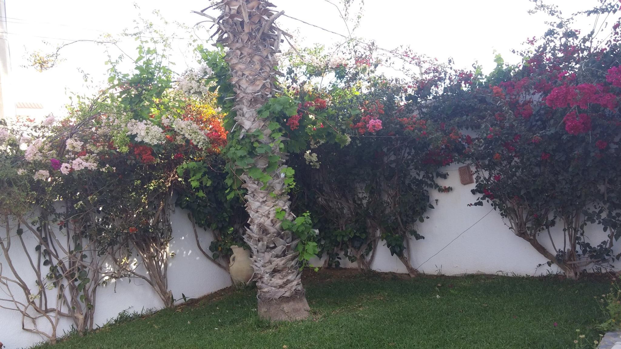 Korba Korba Location vacances Maisons Belle et spacieuse villa avec piscine