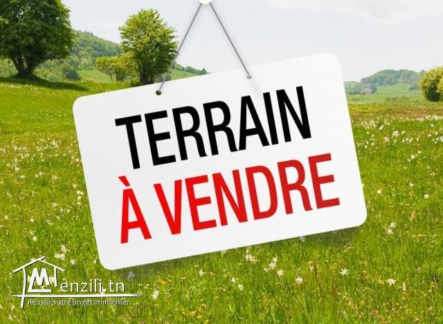 Menzel Jemil Menzel Abderrahman Terrain Terrain nu Magnifique terrain bizerte