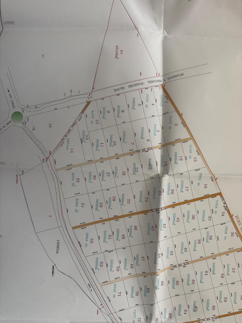 Bir Mcherga Ain El Asker Terrain Terrain agricole Lots terrains a 25km tunis