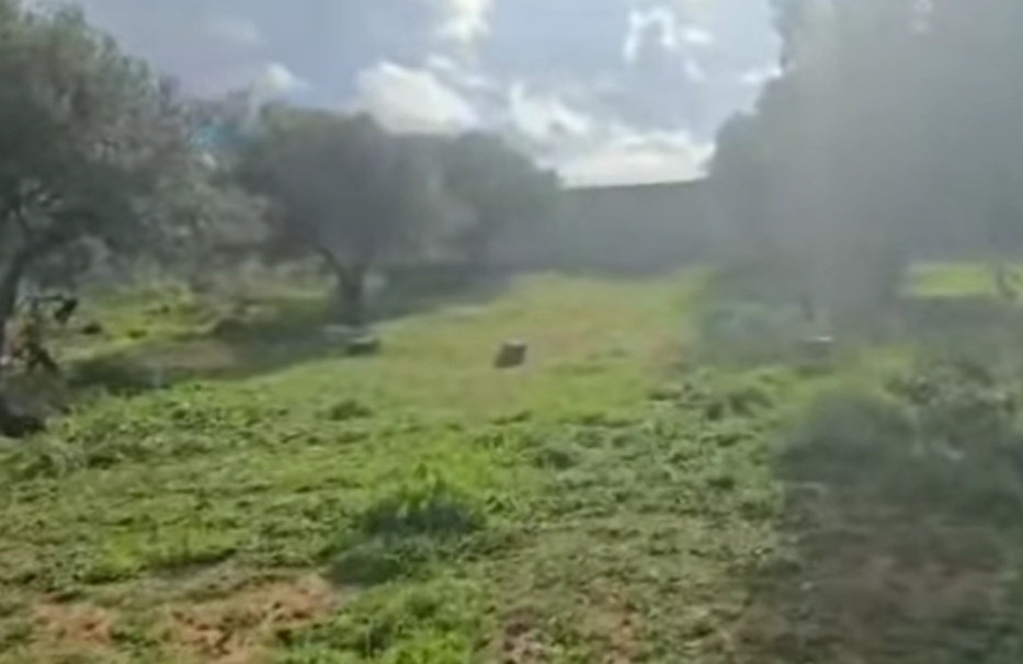Mnihla Mnihla Terrain Terrain nu Terrain  ariana