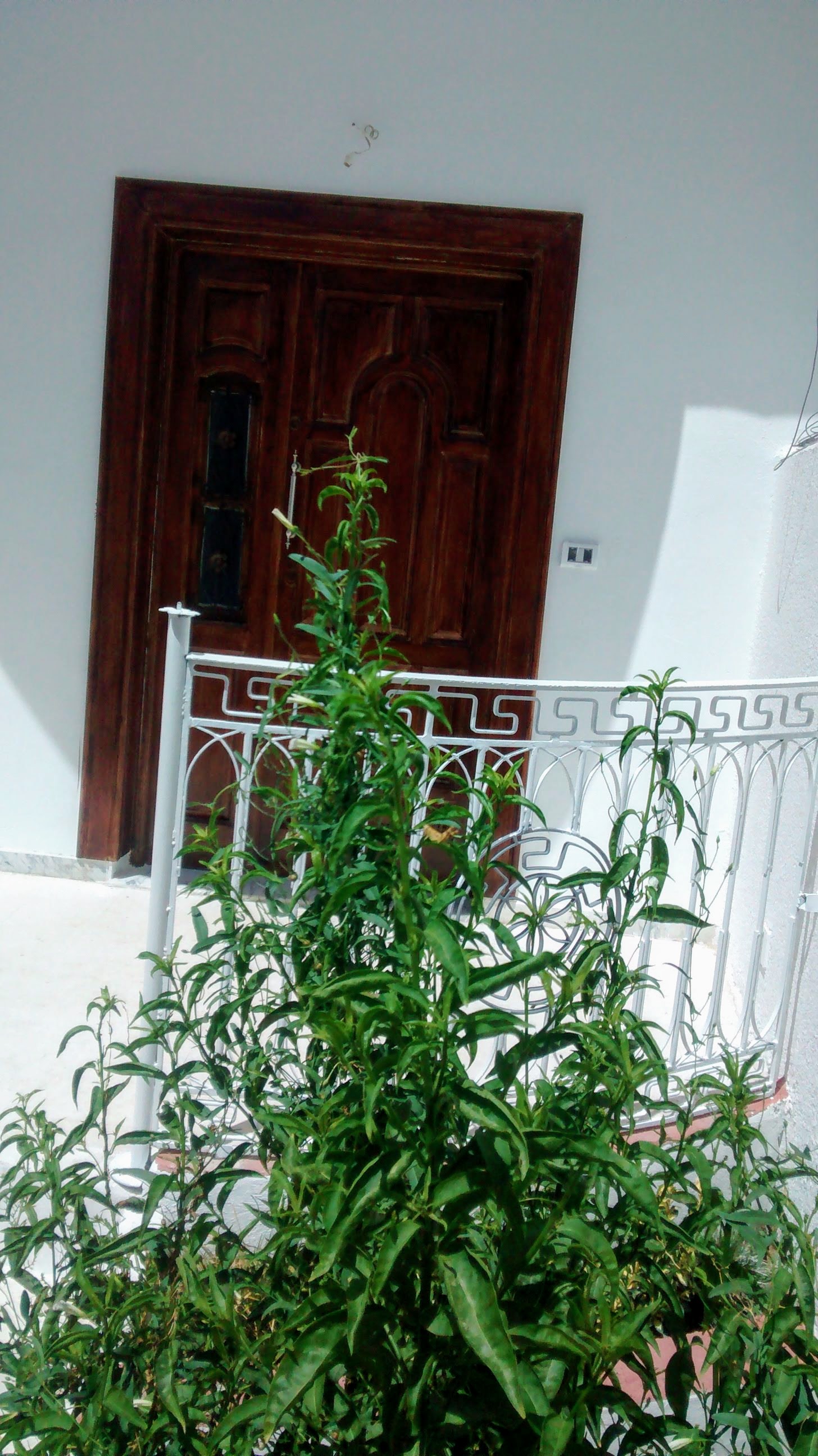 Mnihla Jardins d'el Menzah Location Appart. 3 pices 3ch 2sb  rdc  proche centre comecl jardin menzah2