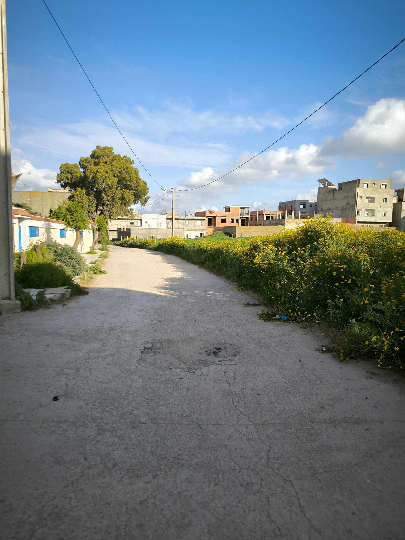 Bizerte Nord Bizerte Terrain Terrain nu 3000 m borj taleb