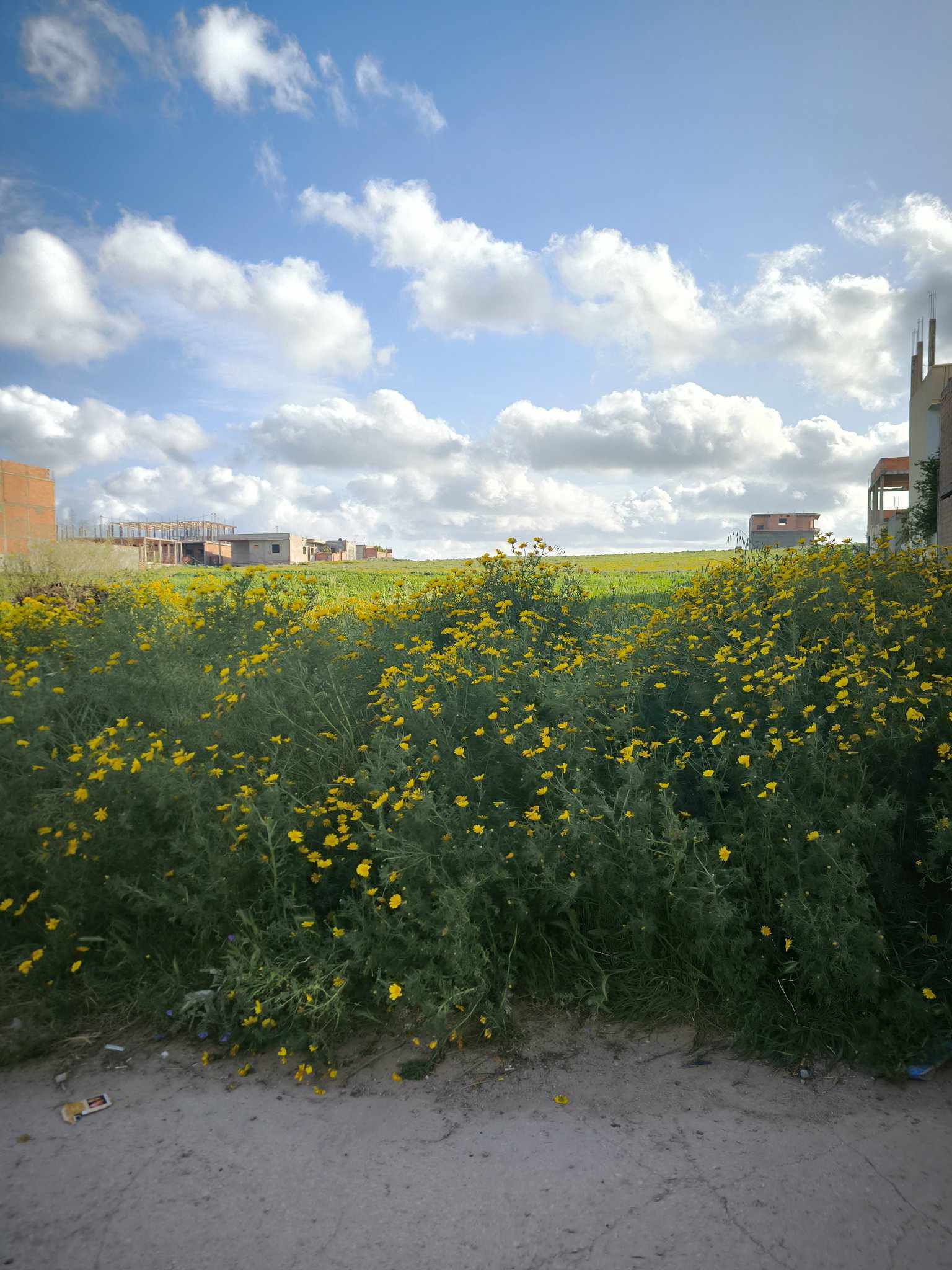Bizerte Nord Bizerte Terrain Terrain nu 3000 m borj taleb