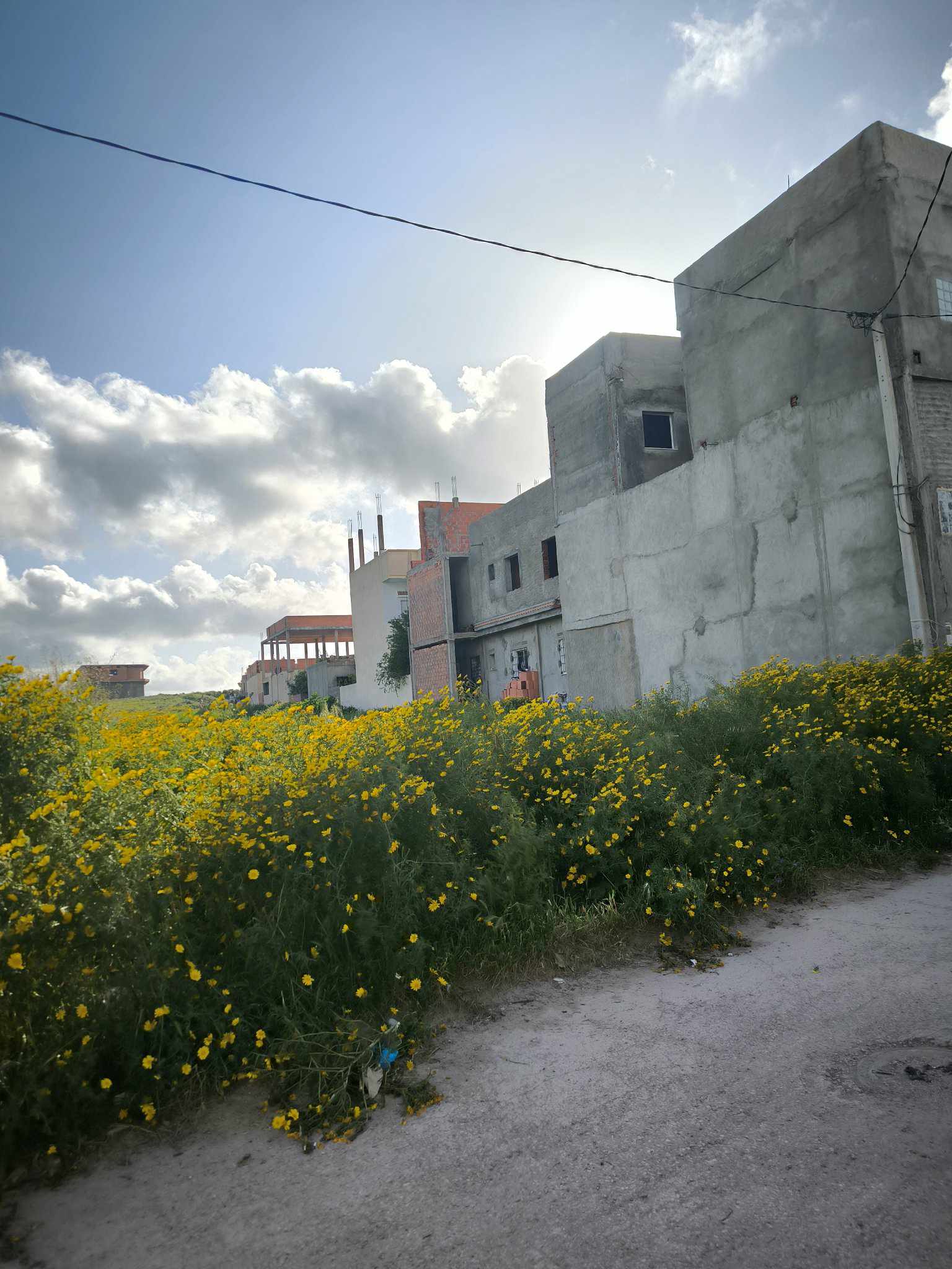 Bizerte Nord Bizerte Terrain Terrain nu 3000 m borj taleb