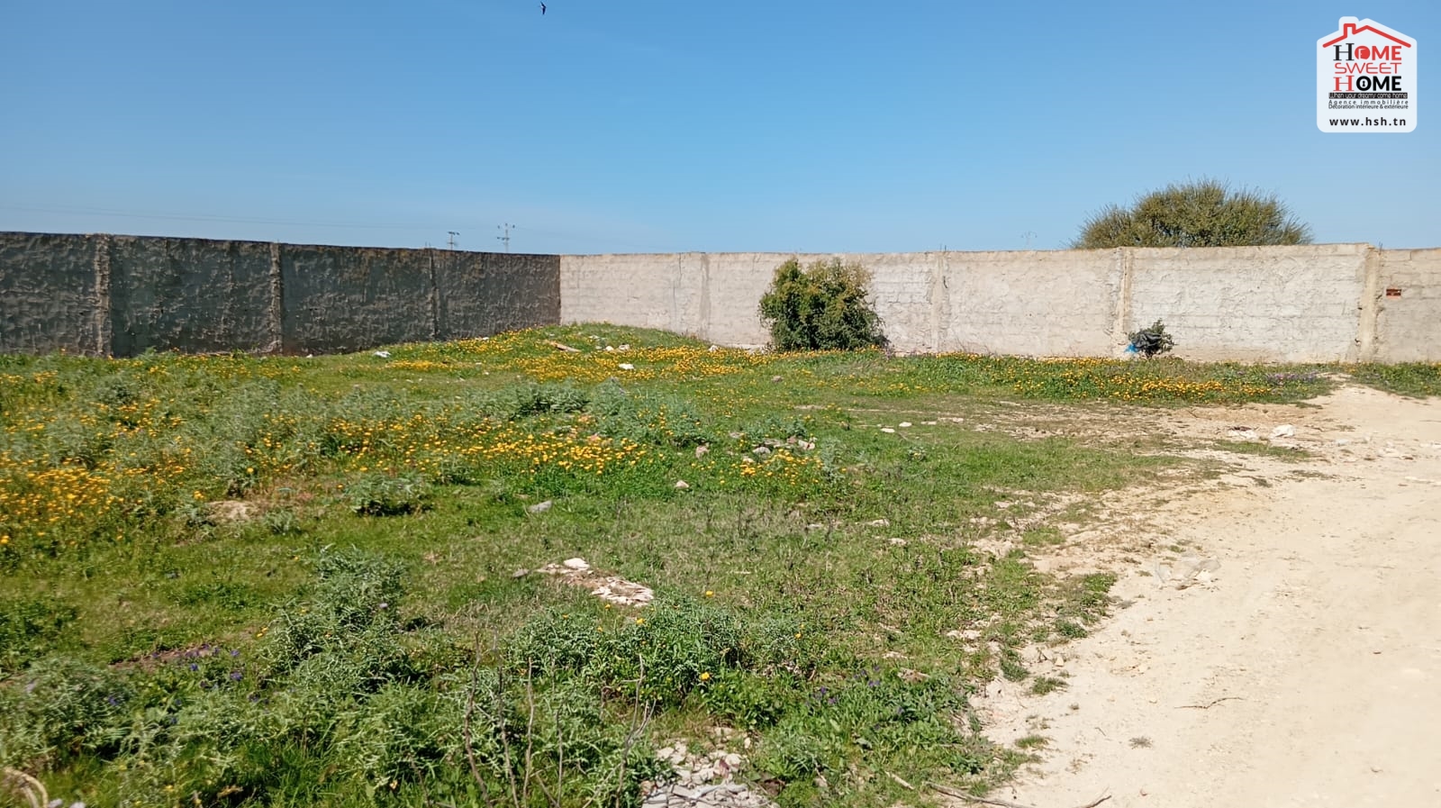 Raoued Cite Chaker Vente Surfaces Terrain villa  flora  raoued