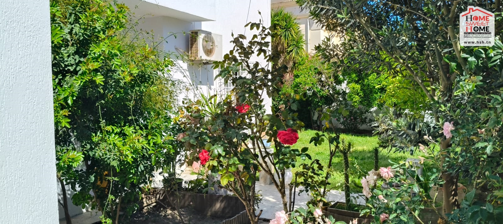 Carthage Cartage Byrsa Vente Maisons Villa hannibal  carthage byrsa