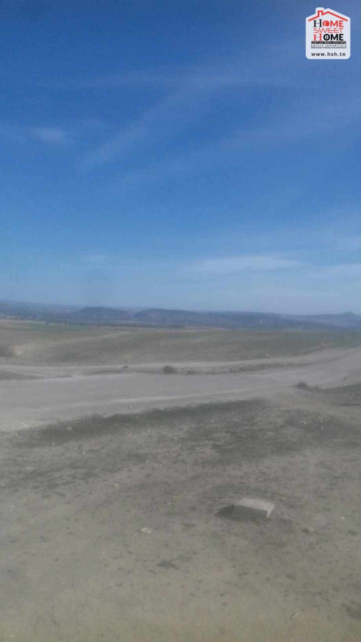 Sakiet Sidi Youssef Farchen Vente Surfaces Un terrain agricole  sakit sidi youssef au kef