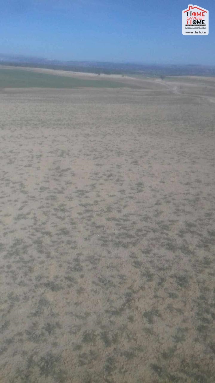 Sakiet Sidi Youssef Farchen Vente Surfaces Un terrain agricole  sakit sidi youssef au kef