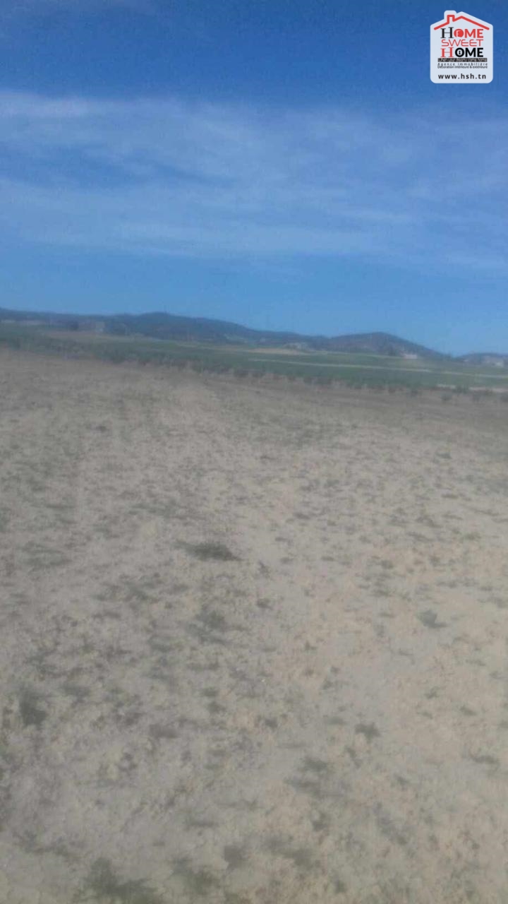 Sakiet Sidi Youssef Farchen Vente Surfaces Un terrain agricole  sakit sidi youssef au kef