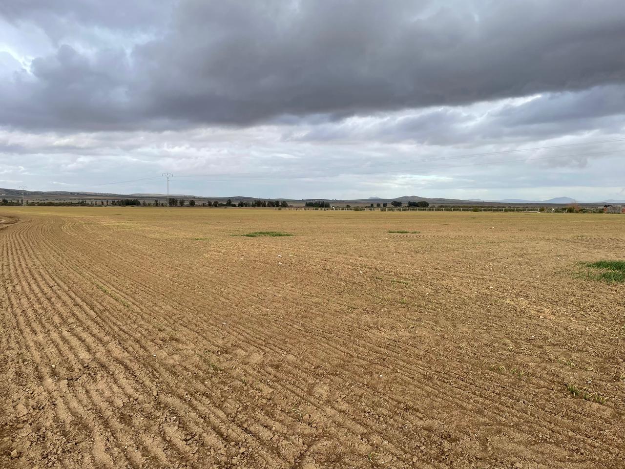 Bou Arada Bou Arada Terrain Terrain agricole Terrain agricole de 33 hectares  bouarada siliana