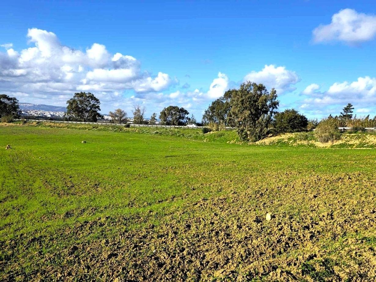 Ras Jebel Rafraf Terrain Terrain agricole Terrain 1 hect a rafraf