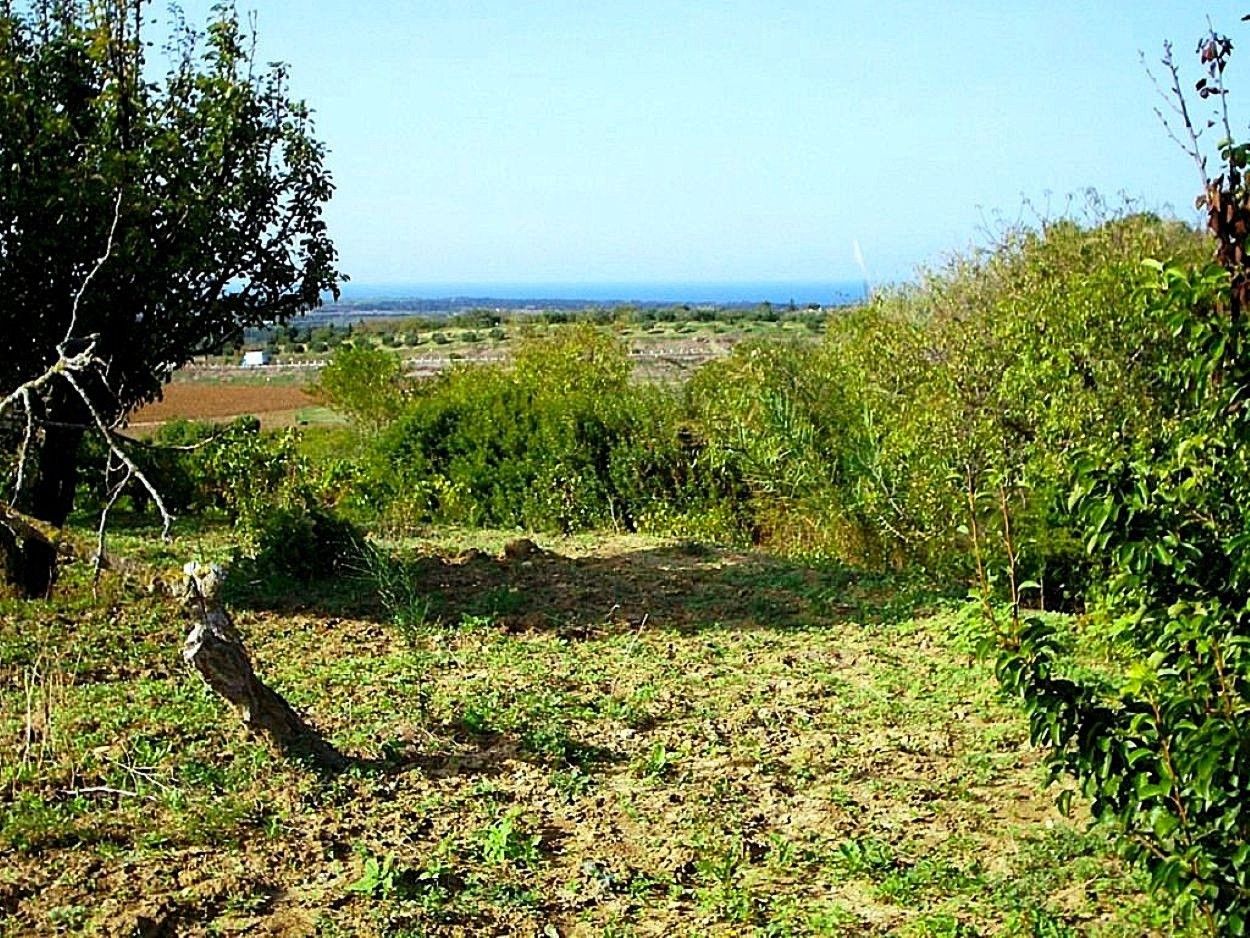 Ras Jebel Rafraf Terrain Terrain agricole Terrain 5300 m2 a rafraf