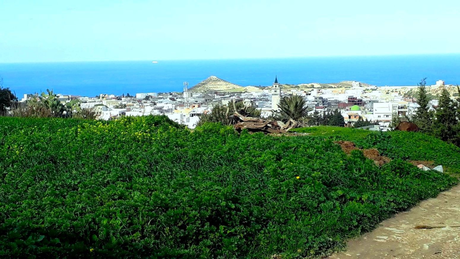 Ras Jebel Rafraf Terrain Terrain nu Terrain 820 m2 a rafraf