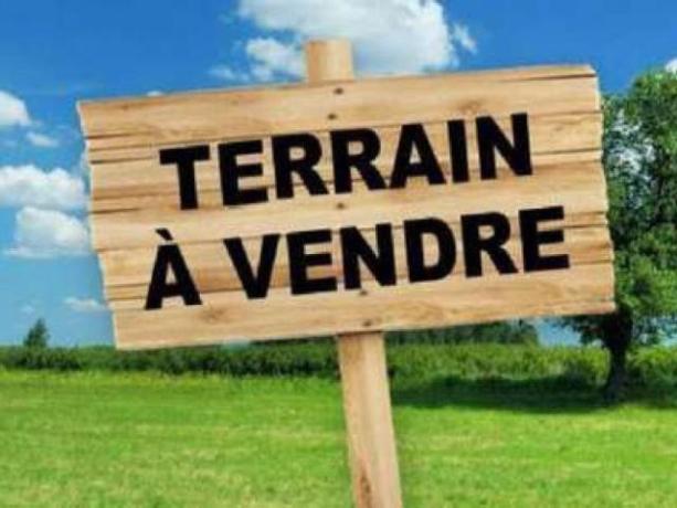 Ariana Ville Ariana Terrain Terrain nu Super terrain bureautiqe 2127 m2   ariana centre