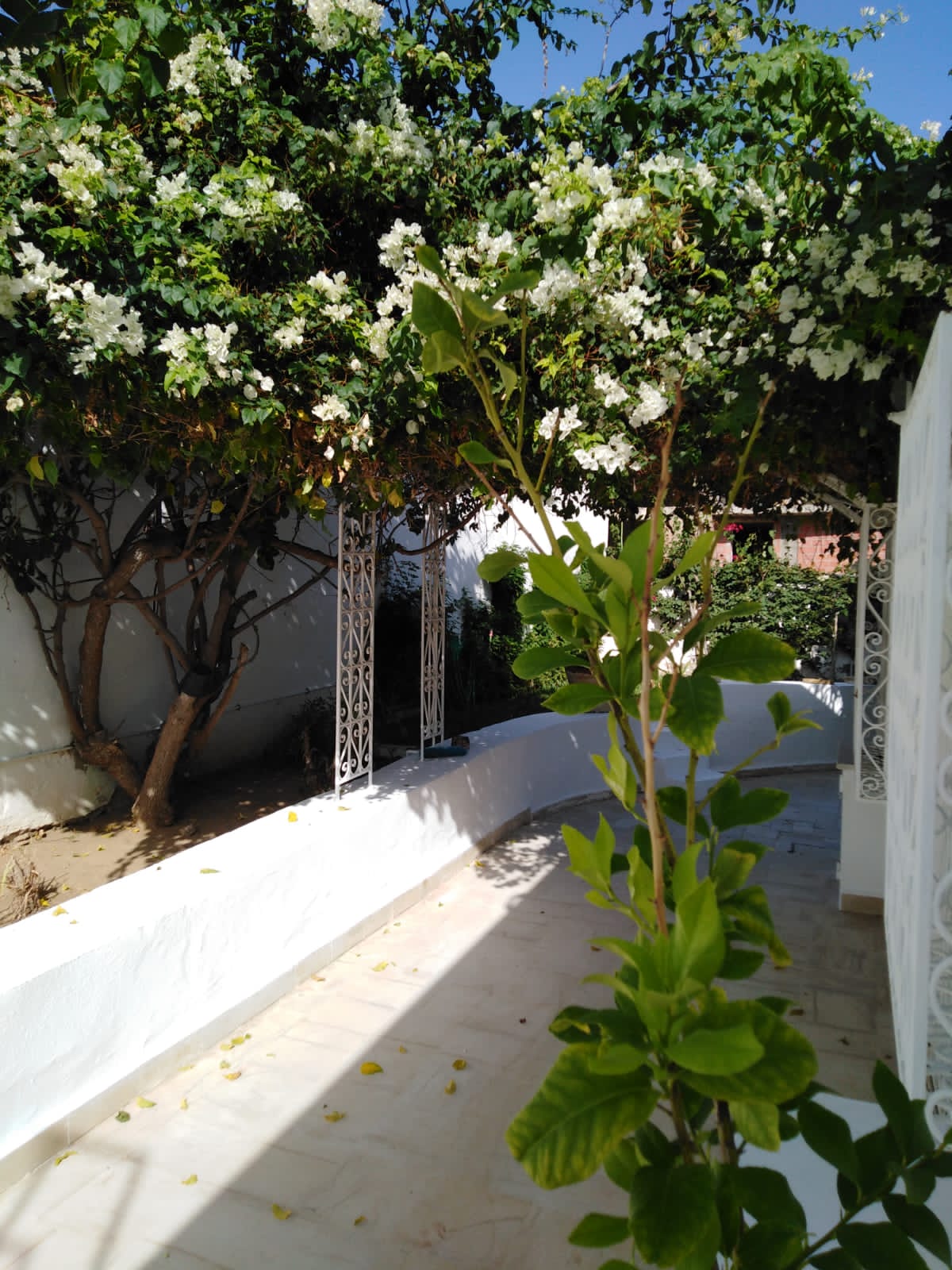 La Marsa Gammart Location Maisons Villa vue mer gammarth
