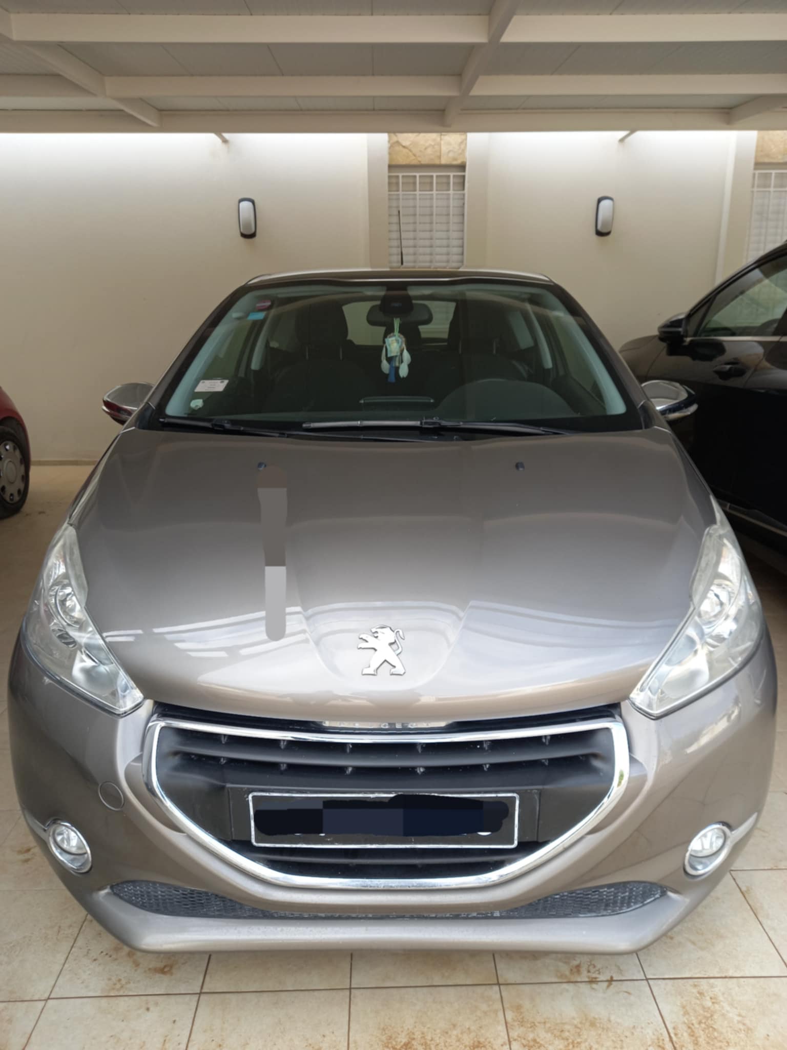 Ariana Ville Riadh Landlous Peugeot Peugeot 208 en excellent tat