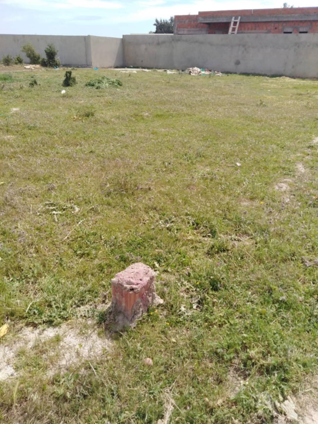 Sidi Thabet Borj Youssef Terrain Terrain agricole Terrain constructible  borj youssef