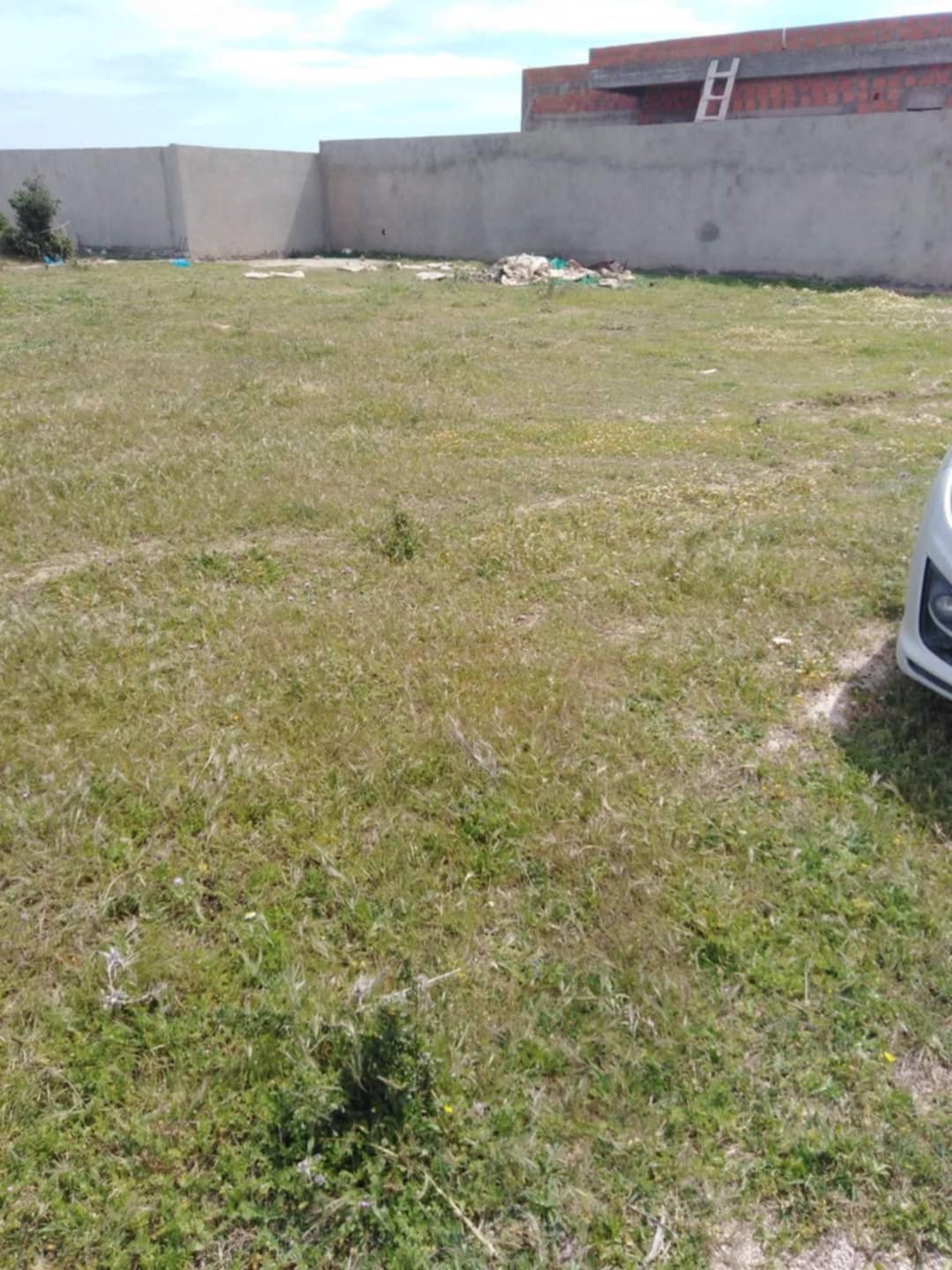Sidi Thabet Borj Youssef Terrain Terrain agricole Terrain constructible  borj youssef