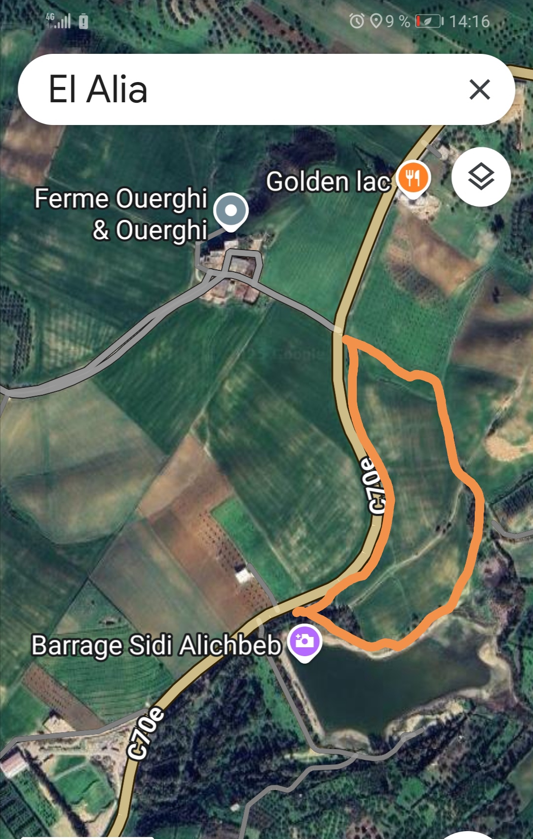 El Alia Sidi Ali Chebab Terrain Terrain agricole Terrains  el alia  bizerte