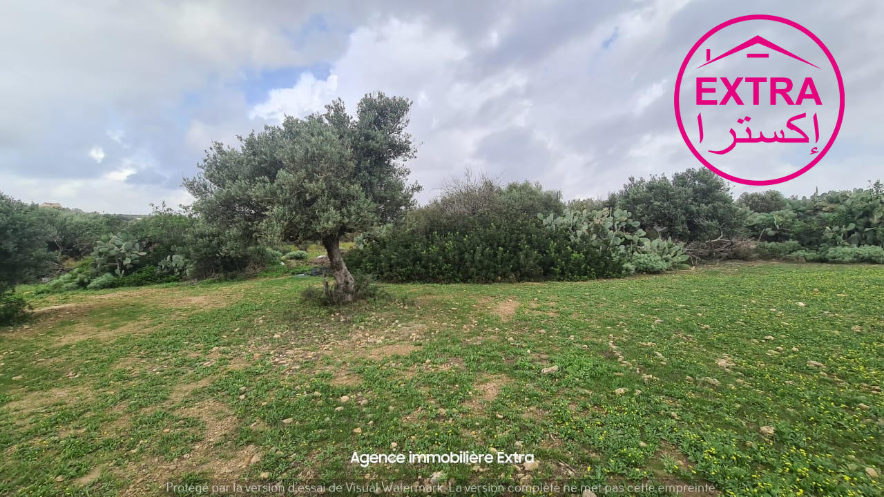 Beni Khiar Somaa Terrain Terrain nu Campagne  somaa