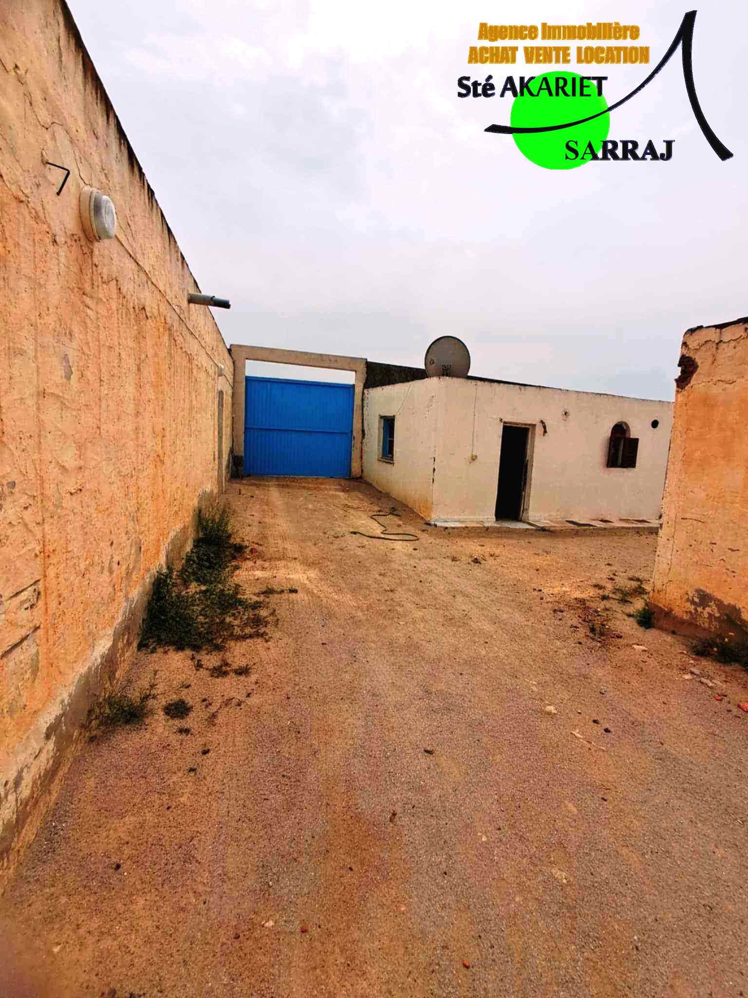 Kalaa El Kebira Belaoum Terrain Terrain agricole Senia clotur 2 hectares et 5000m  kalaa kebira