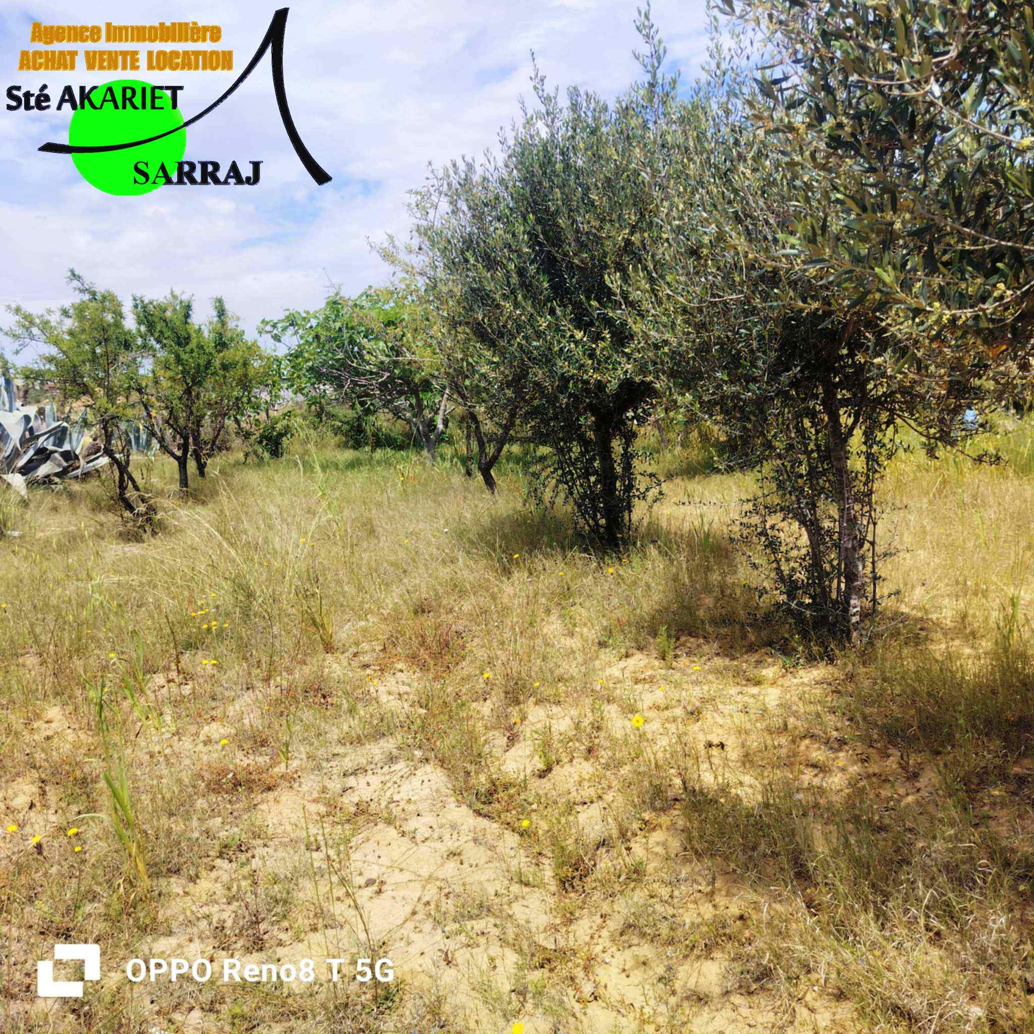 Kalaa El Kebira Kalaa El Kebira Terrain Terrain agricole Terrain agricole cltur 800m  kalaa kebira