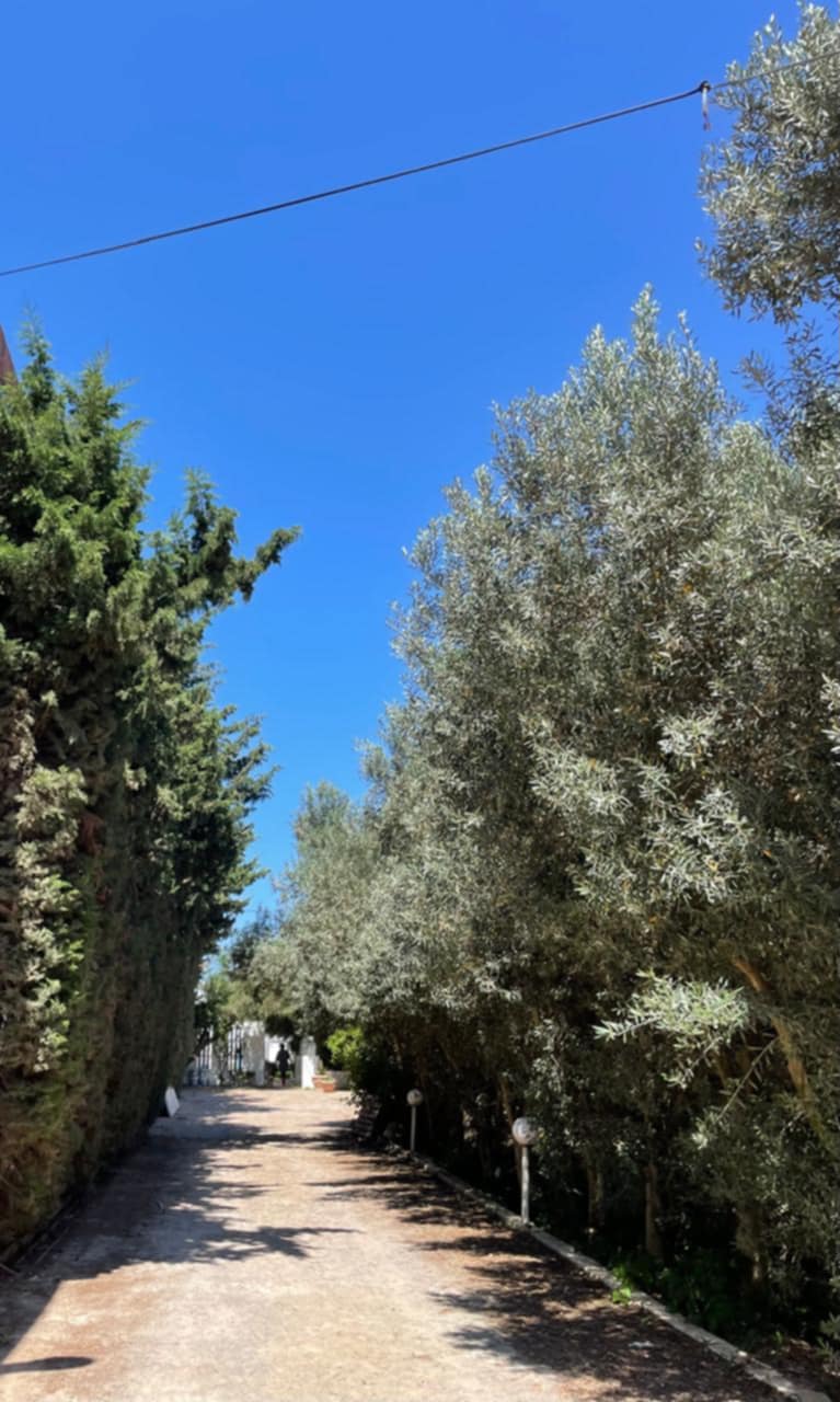 Kelibia Dar Allouche Location vacances Maisons Une grande villa avec piscine pour votre vacance