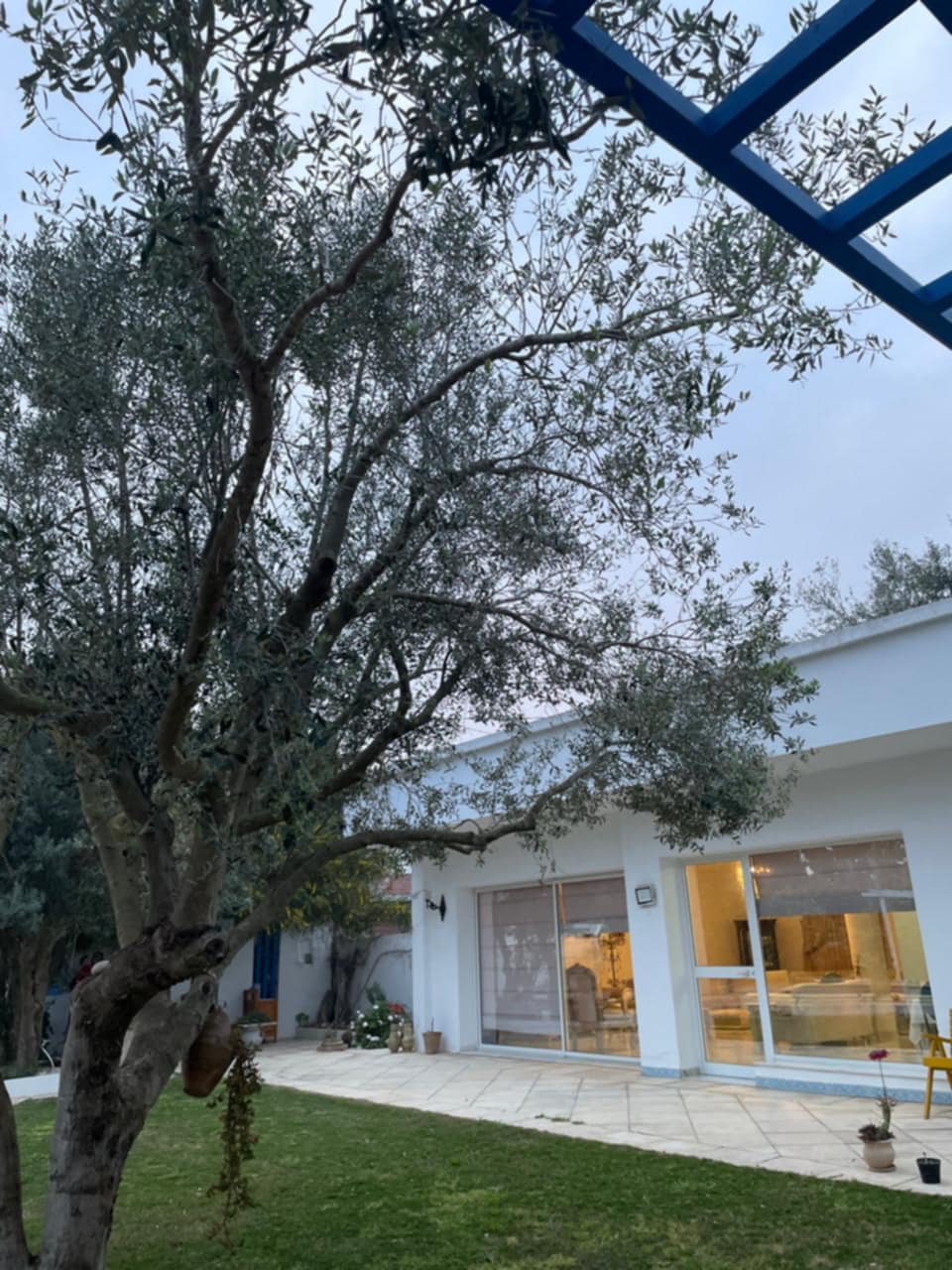 Kelibia Dar Allouche Location vacances Maisons Une grande villa avec piscine pour votre vacance