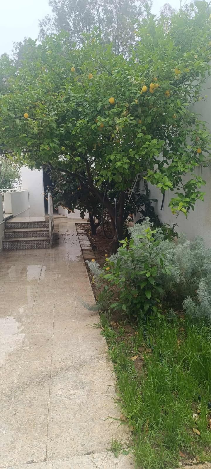 El Mourouj El Mourouj Location Appart. 2 pices Studio md souad