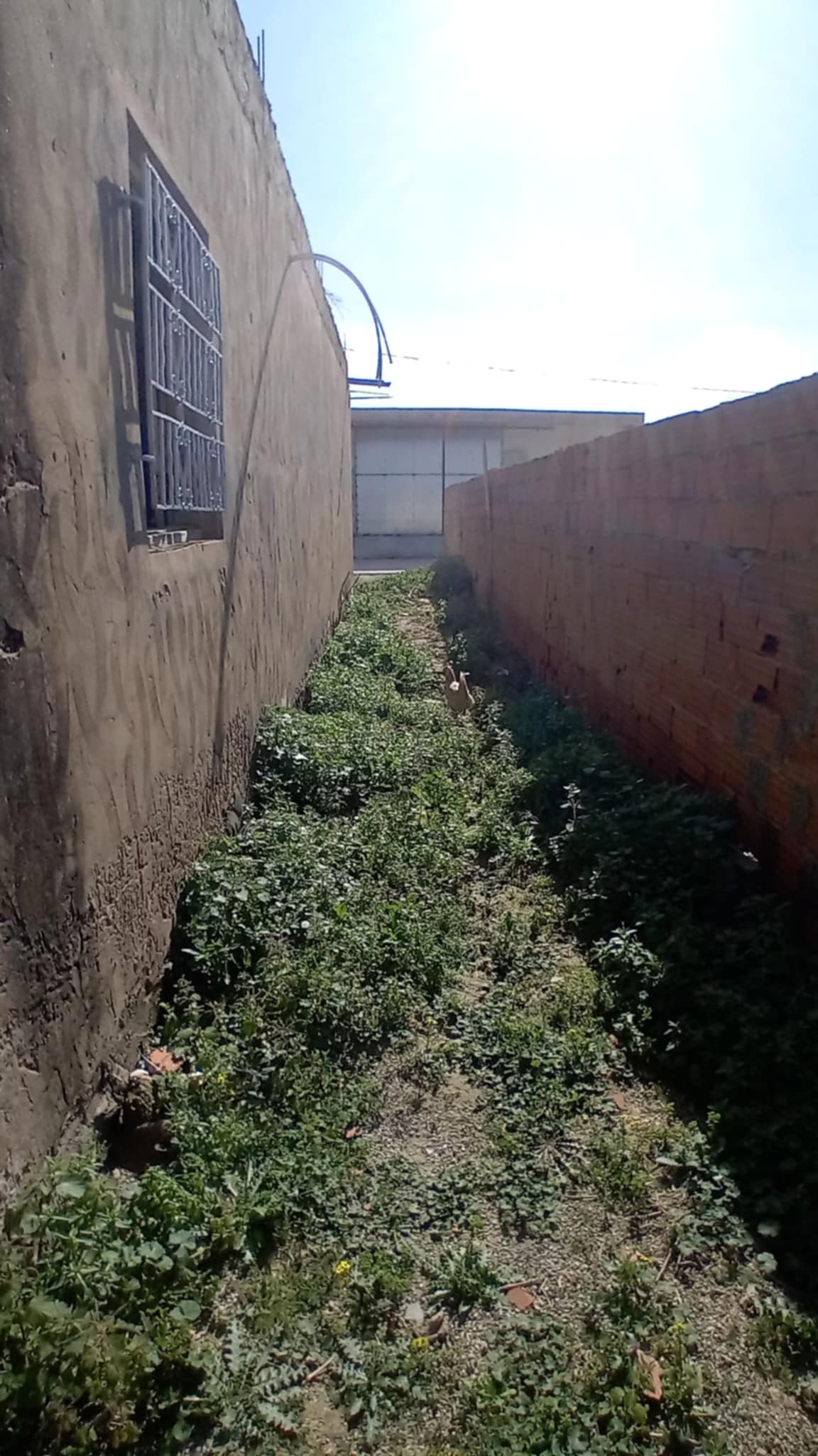 Raoued Cite Sidi Slimene Vente Maisons Maison a sidi slimene