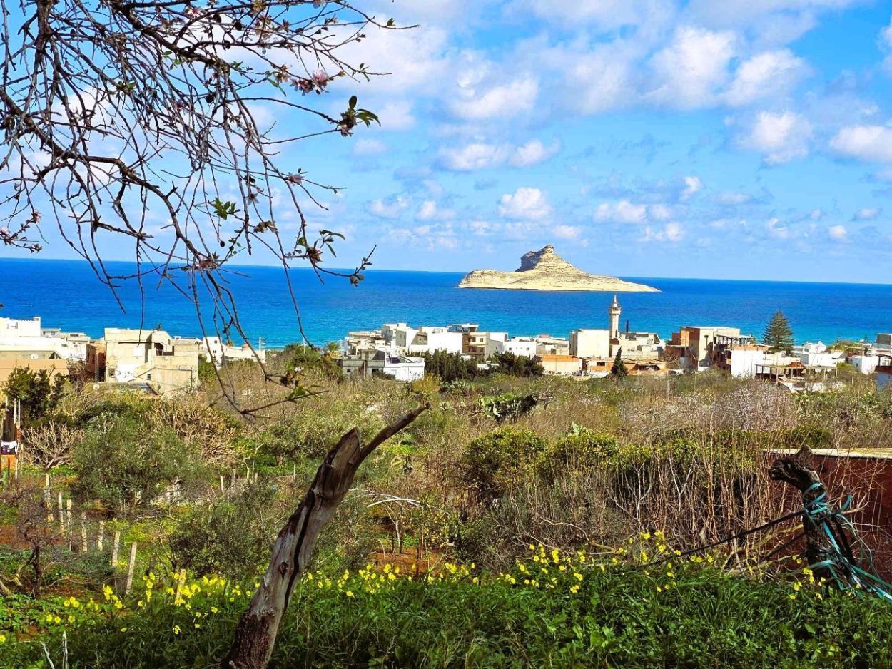 Ras Jebel Rafraf Plage Terrain Terrain nu Terrain 1060 m2 rafraf plage lahmeri