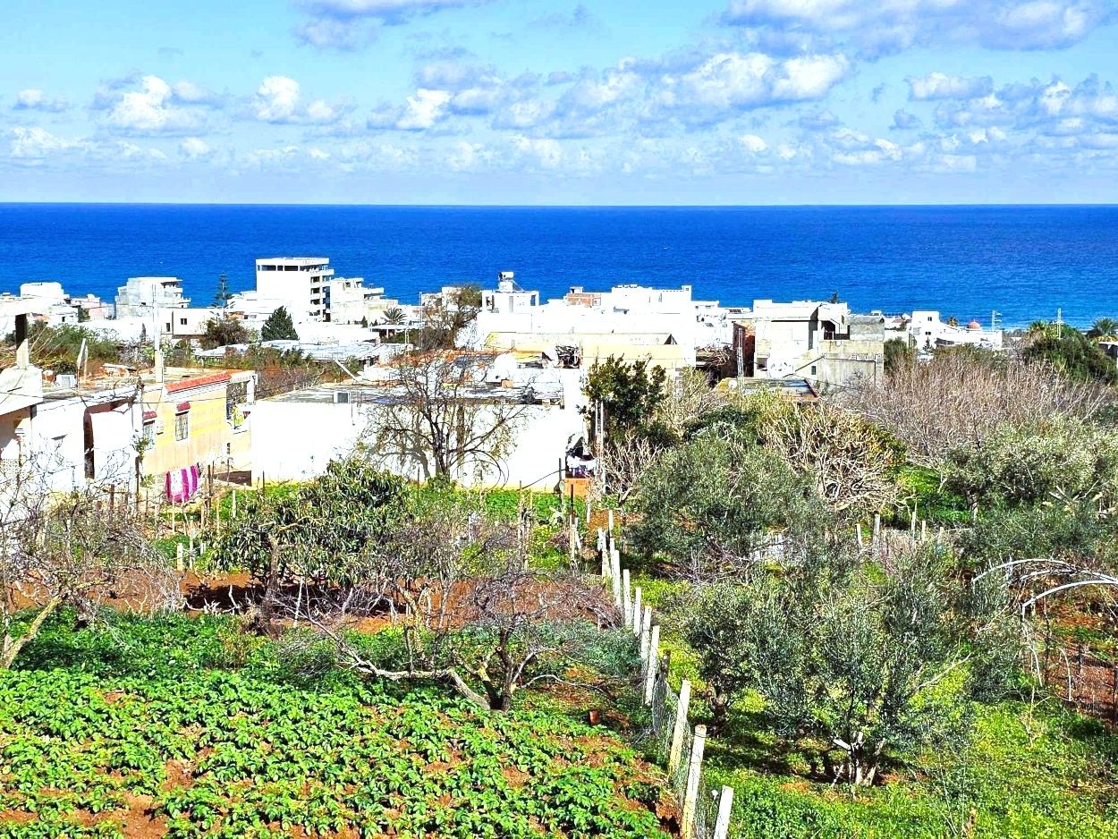 Ras Jebel Rafraf Plage Terrain Terrain nu Terrain 1060 m2 rafraf plage lahmeri