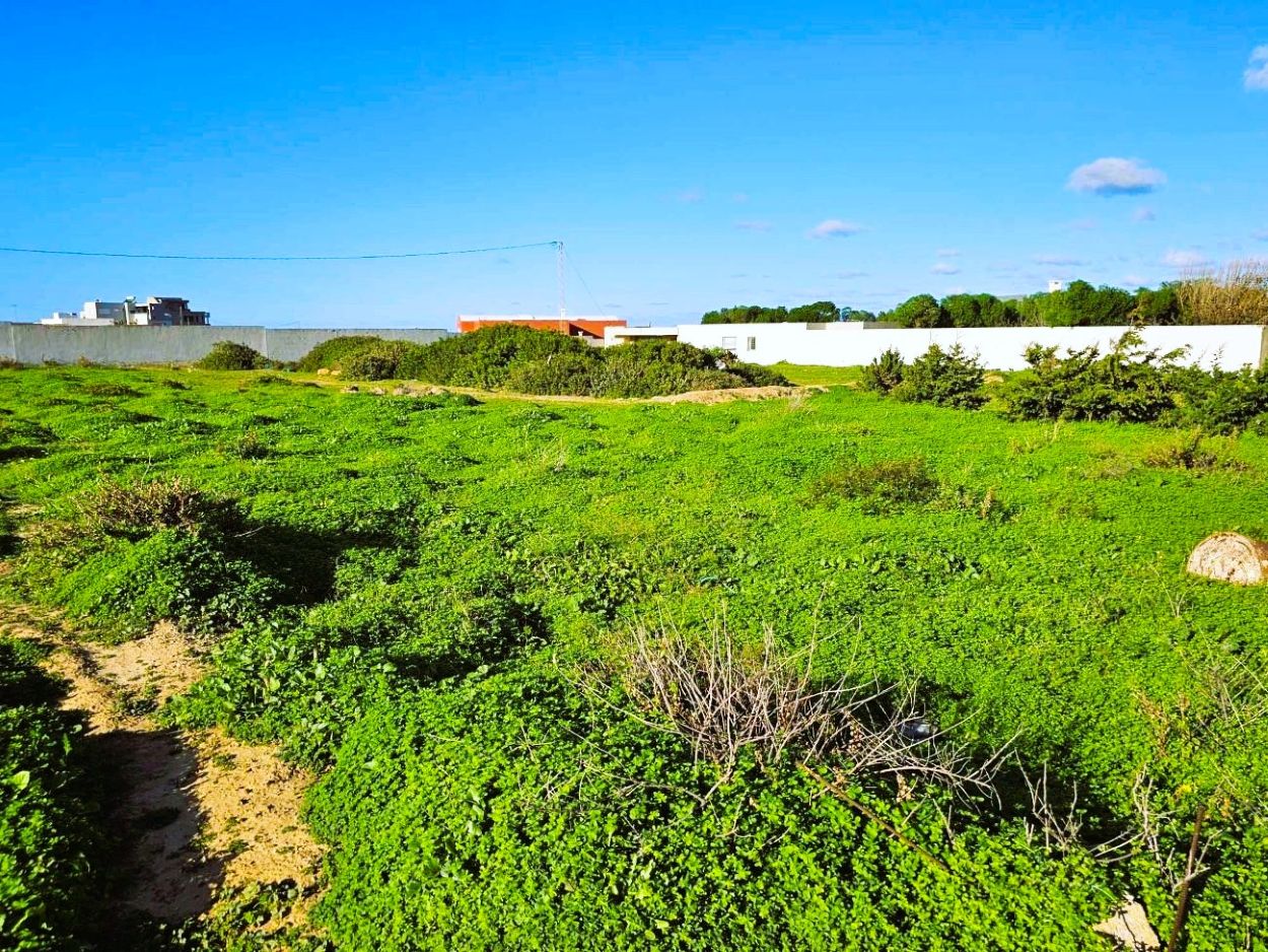 Ras Jebel Rafraf Plage Terrain Terrain nu Terrain 1050 m2 rafraf plage ain mestir