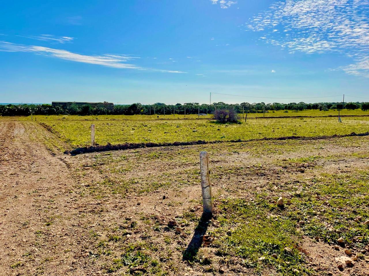 Bou Ficha Bou Ficha Terrain Terrain nu 12500 dt terrain a bouficha