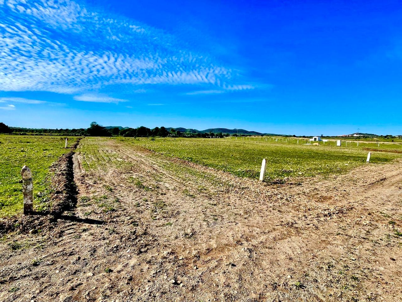 Bou Ficha Bou Ficha Terrain Terrain nu Offre speciale 175 m2