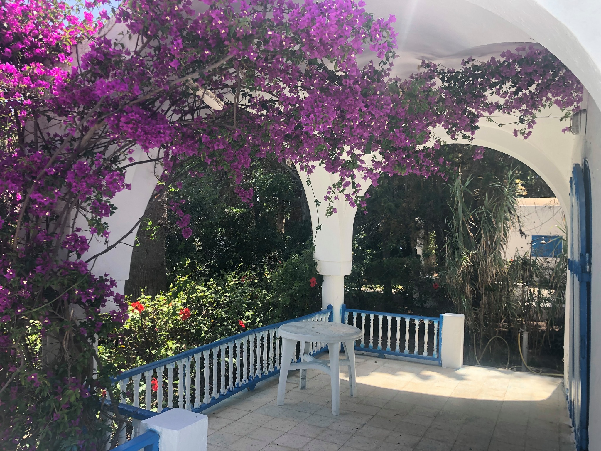 Hammamet Hammamet Location vacances Appart. 2 pices Villa rsidence jannet