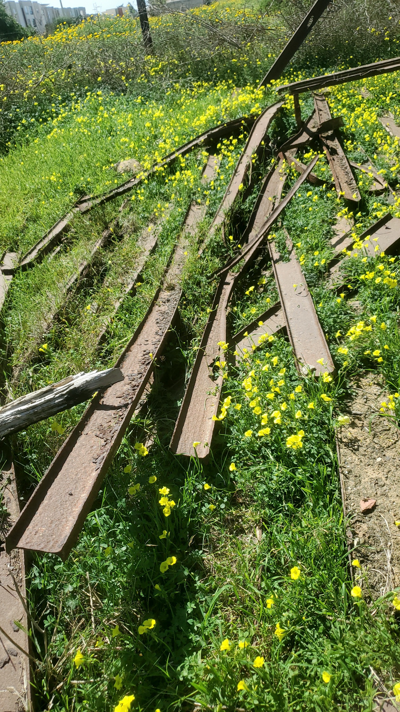 El Omrane El Omrane Autre Autre Railles mtalliques pour fonderie