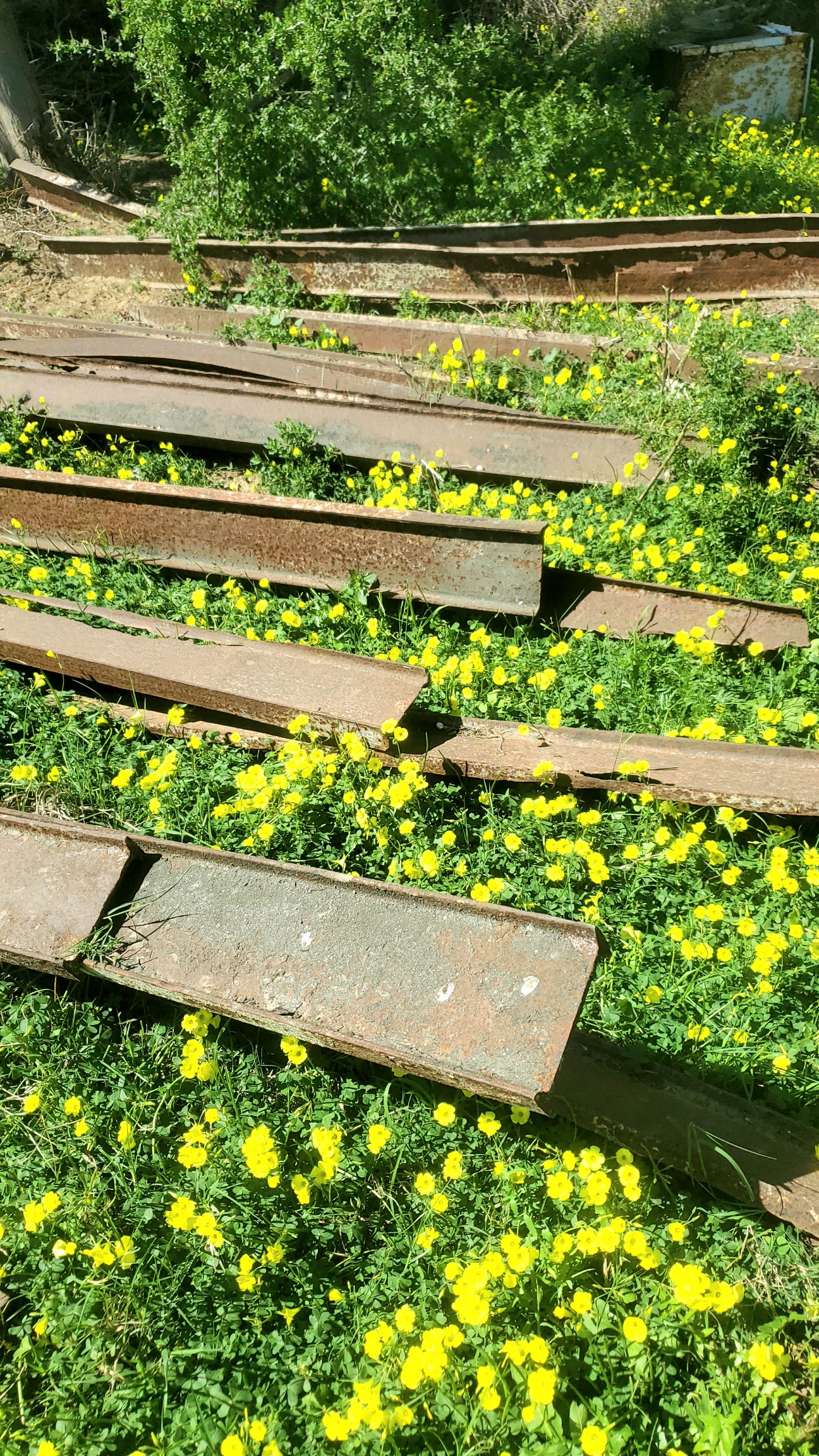 El Omrane El Omrane Autre Autre Railles mtalliques pour fonderie