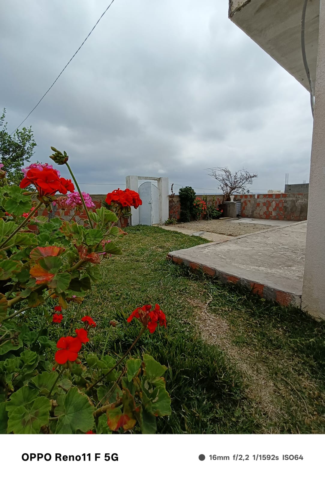 El Haouaria Cite Touristique Vente Appart. 2 pices Une maison indpendante prs de la plage